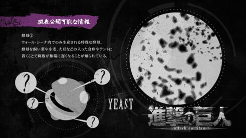 酵母①