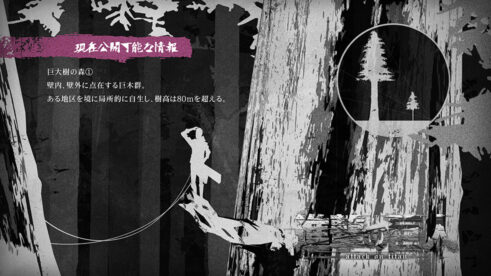 巨大樹の森①